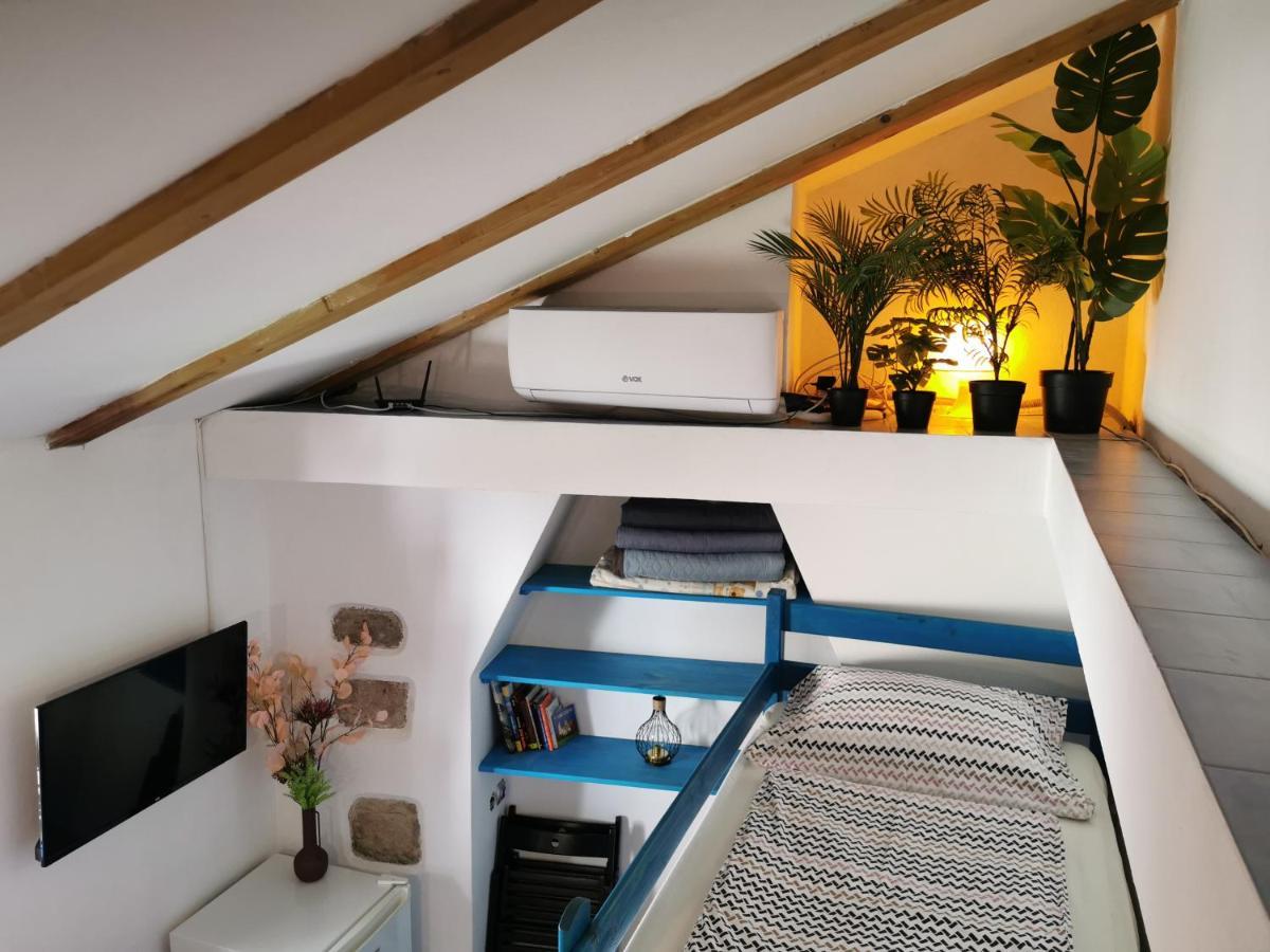 Apartment Camerin 코페르 외부 사진